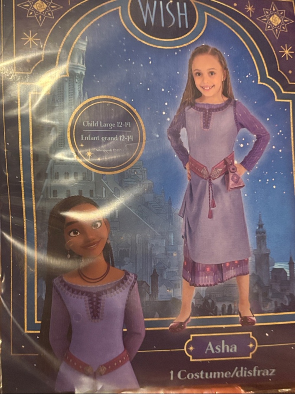 Asha Purple Princess Costume - Child Large 12-14